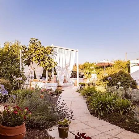 I Trulli Di Marghe Nel Cuore Della Valle Locorotondo